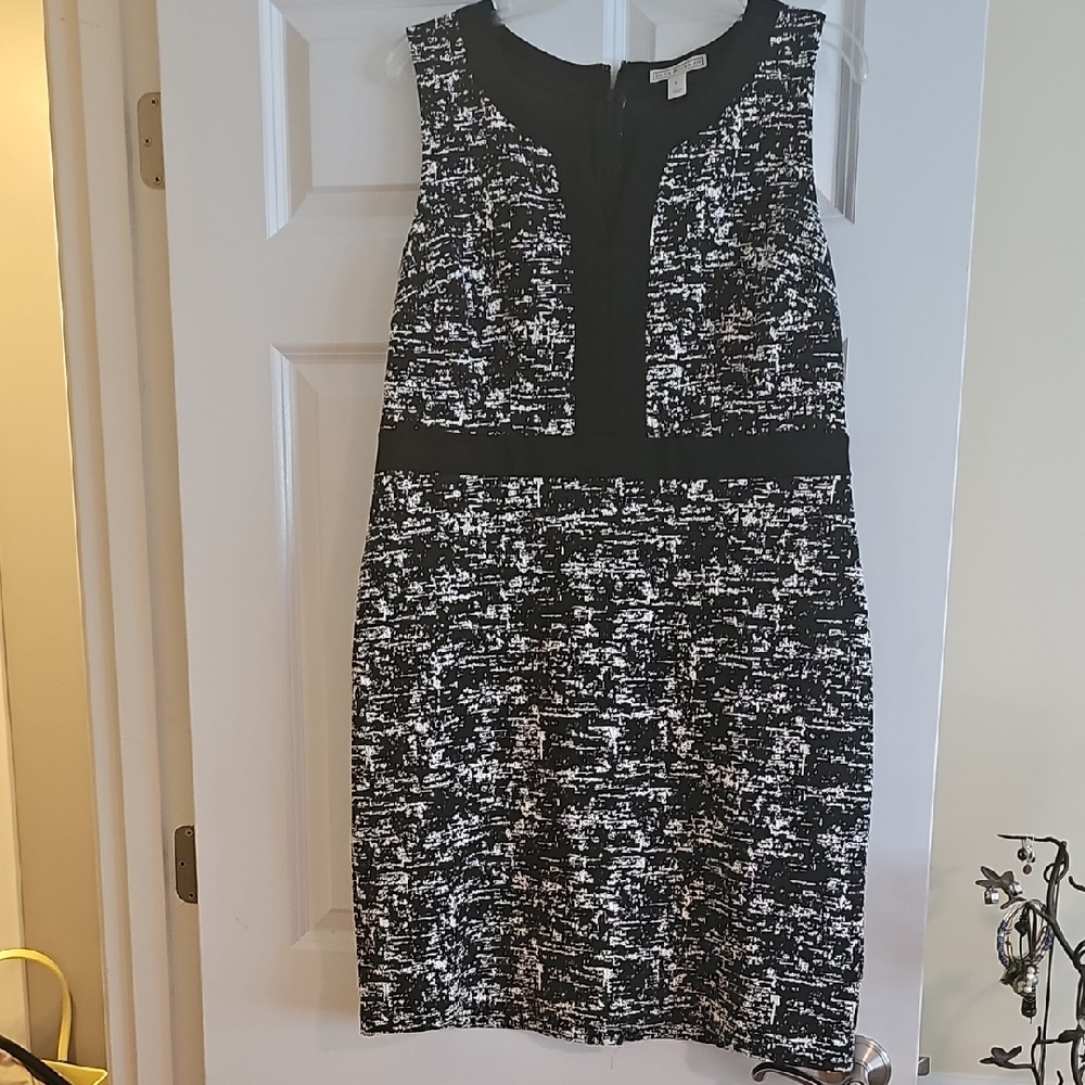 Elegant Black and White Women's Dress